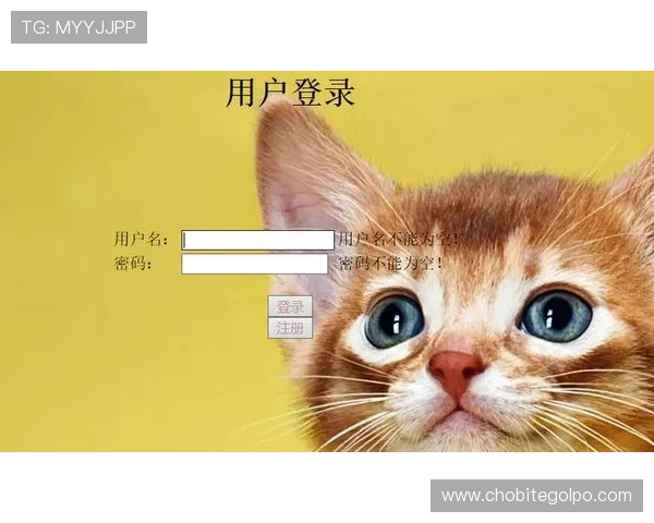 凯发正规会员登录官网网址最新入口，确保会员快速登录体验与账号安全保障